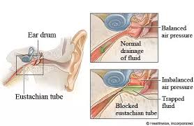 Turns out, your ears are pretty wonderful at regulating air pressure. I Currently Have A Cold Why Is There An Odd Cracking Sound In My Ear Quora