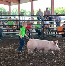 Had a Great Time at the Cooper County Youth Fair!