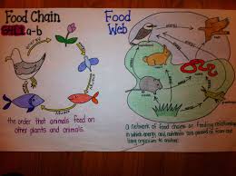 Pin By Shannon Mccoy On Science Fourth Grade Science Elementary Science 4th Grade Science