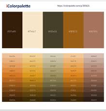 Find a great color palette from color hunt's curated collections. Clinker Givry Birch Hawaiian Tan Leather Color Scheme Icolorpalette