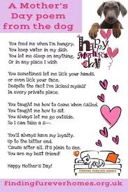 Mothers Day Poem From Dog Mothers Day Poems Dog Poems Dog Quotes