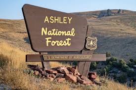Ashley national forest is a national forest located in northeastern utah and southwestern wyoming in the united states. Ashley National Forest