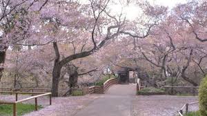 For more information and source, see on this link : Siapkan Budget Liburan Ke Korea Atau Jepang Ini Perbandingan Biayanya Halaman All Tribun Medan