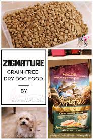 Pin By Bella Dog Celebrity On Zignature Dog Food Dog Food Recipes Grain Free Dog Food Dry Dog Food