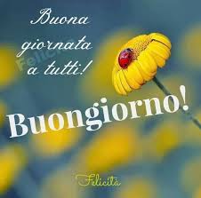 Pin By Omar Iron On Italiano Good Morning Good Night Good Morning Italian Greetings