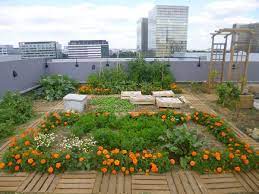 pin by marie chasles on toit amenage city garden plants city