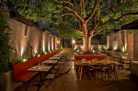Potted lemon trees grow well outsid. 45 Garden Restaurant Design Ideas With Interior Look Check Now Modern Architect Ideas