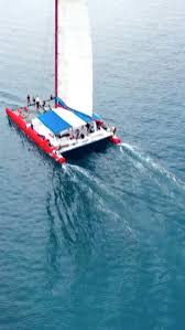 Reklam ve i̇ş bi̇rli̇ği̇ i̇çi̇n dm📩 mastershef tüm bilgiler survivor tüm bilgiler yedek sayfamız @eaglevivor survi̇vor 2021'e katilan i̇si̇m👇 youtu.be/nnymratmzki. Wdbgp1isw Qdjm