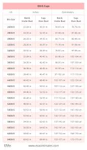 American Us Bra Sizes In Inches And Centimeters