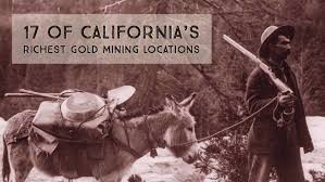 You might find them in old mine tailings, at turns in the river, and around tree roots. 17 Of California S Richest Gold Mining Locations How To Find Gold Nuggets