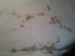Check spelling or type a new query. Washing Machine Stains Possible Causes And Cures