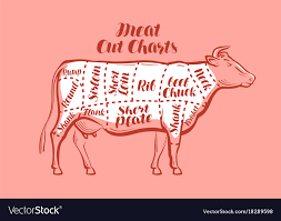 Beef Diagram Pdf Wiring Diagrams