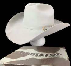 Resistol Cowboy Western Turner Hat Silverbelly 4x Beaver Nib Hatbox 7 5 8 Oval Western Cowboy Boots Resistol Cowboy Hats Cowboy