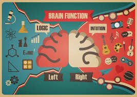 retro brain function chart download free vectors clipart