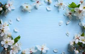 Flowers blue spring flowers on white stock picture i1352218 at. Wallpaper Flowers Spring Apple Wood Blue Blossom Flowers Spring Images For Desktop Section Cvety Download