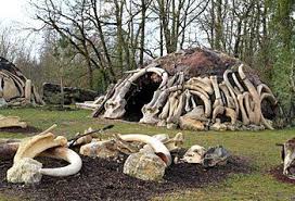 Hutte Neandertal Hominides Prehistorique Animaux Prehistoriques Prehistoire