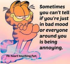 garfield quotes on Pinterest | Garfield Comics, Jewelry ... via Relatably.com