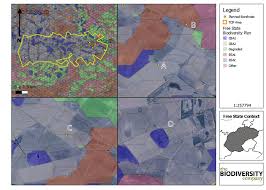 Image result for Bergia pentheriana