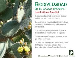 En esta completa página encontrarás toda la información que necesitas. Naturalia A C Photos Facebook