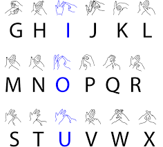 Basic Sign Language Should Be Included In The National