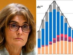 Ryan and Matthew Raymer: Brothers admit storming AFL Grand Final party in  Geelong