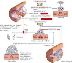 Image result for Platelet Dysfunction