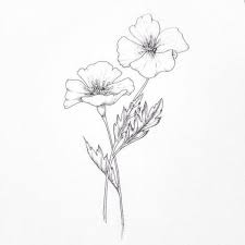 42 Simple And Easy Flower Drawings For Beginners Cartoon District Poppy Drawing Easy Flower Drawings Flower Drawing