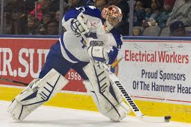 Marlies Ray Emery Fights To Keep Career Alive The Star