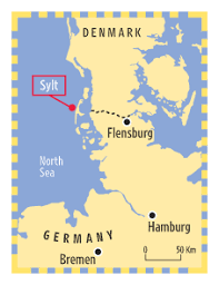 Rolling dunes let out into. Teatime Amid Wandering Dunes Wsj