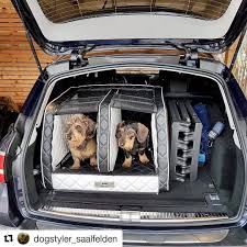 Zwei Hunde Im Kofferraum Hundebox Furs Auto Hund Auto Autos
