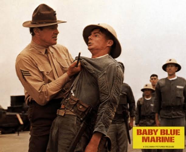 Hollywood Marine. | Bill Boggs Blogs