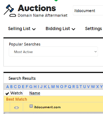 Godaddy Auctions Search Itdocument Com Godaddy Names Auction