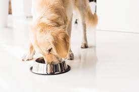 Maybe you would like to learn more about one of these? Dog Food Recalled Over Salmonella Listeria Concerns Fda Fox Business