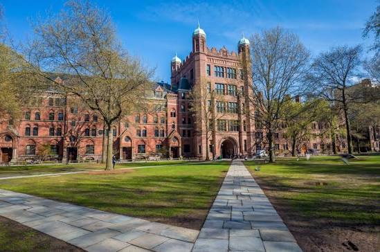 Yale University in Downtown New Haven | Expedia.co.uk