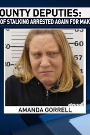 Mt. Pleasant woman charged with March intrusion arrested again for making  false reports