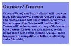 However, there can be a certain divergence in their view of the material world. Are Taurus And Cancer Compatible Sexually