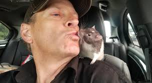 Does My Ring Hurt Your Finger by Charlie Pride