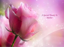 Mother's day is perfect time to pay gratitude to mothers for unconditional love, care and affection provided by her to us. Send Mother S Day Flowers Gift To India