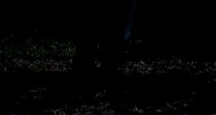 Halloween kills is an upcoming american slasher film directed by david gordon green and written by green, danny mcbride and scott teems. The Horrors Of Halloween Halloween Kills 2021 Officially Rated R Trailer Screencaps And Lobby Cards