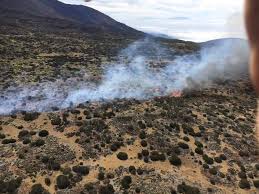 El peligro se aleja, pero el operativo se mantiene en alerta, ha explicado el consejero de administraciones públicas, justicia y seguridad del gobierno de canarias, julio pérez. Incendio En El Teide Tenerife Cope