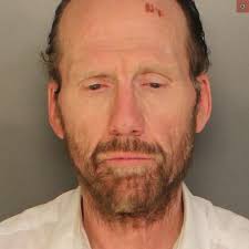 Wanted man Tasered in Dallastown after he allegedly pepper-sprayed cop