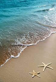 Two Starfish On A Beach Beach Wallpaper Beach Scenes Ocean Wallpaper