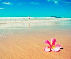 Pin On Hawaiian Islands