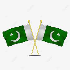 Pakistan Flag Transparent Pakistan Pakistan Flag Pakistan Flag Vector Png Transparent Clipart Image And Psd File For Free Download Pakistan Flag Flag Vector Flag