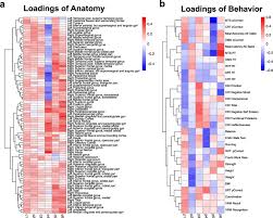 It's basically a collection of a bunch of batch scripts. Repairing The Brain With Physical Exercise Cortical Thickness And Brain Volume Increases In Long Term Pediatric Brain Tumor Survivors In Response To A Structured Exercise Intervention Abstract Europe Pmc