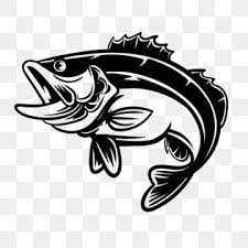 Ilustracao Em Vetor De Peixe Baixo Para O Amante Da Pesca Clipart De Peixe Graves Peixe Imagem Png E Vetor Para Download Gratuito Black Bass Fish Fish Silhouette Fish Background