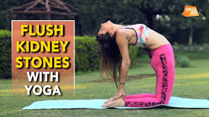 Yoga To Dissolve Kidney Stone Camel Pose Yoga Tak Youtube