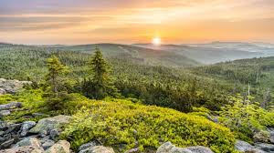 It is 0.1 miles from the center of prackenbach. Der Bayerische Wald Ein Traum Fur Wanderer Regensburger Nachrichten News Meldungen Und Aktuelles Aus Der Region