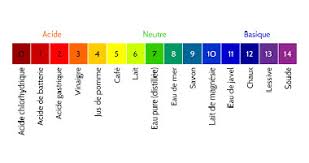 Tous Les Elements Pour Enfin Comprendre Les Variations Du Ph Sa Piscine