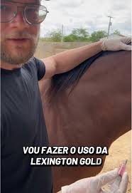 Vacinação Equina: LEXINGTON GOLD para Saúde dos Cavalo